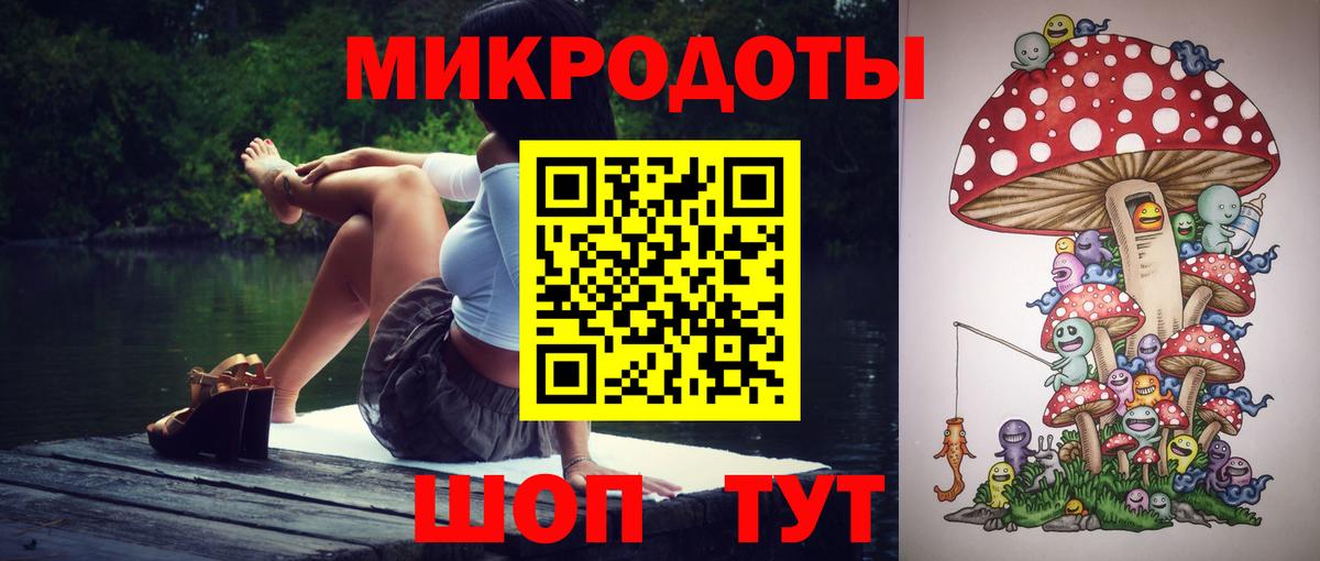 Новороссийск  Галлюциногенные грибы мицелий  Вход с VPN 
