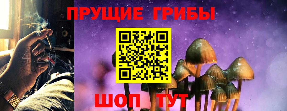 Галлюциногенные грибы GOLDEN TEACHER Новороссийск